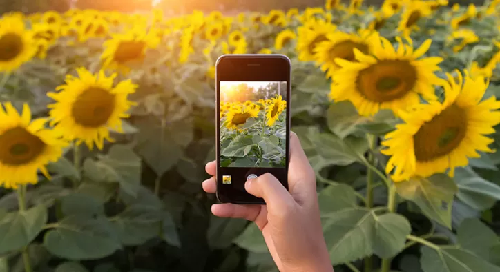 Cep Telefonlarıyla Profesyonel Fotoğraf Çekmenin Yolları