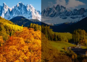 En İyi Fotoğrafı Çekme Uygulaması