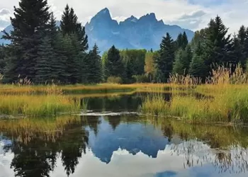 Kadın Gezgin Caroline Foster’dan Huzur Kokan Manzara Fotoğrafları
