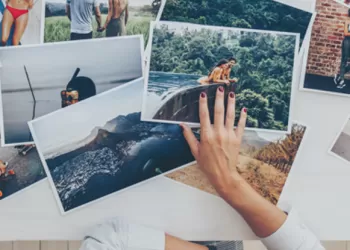 Portfolyo Oluşturma