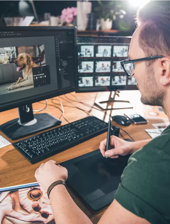 albüm tasarımı kursu