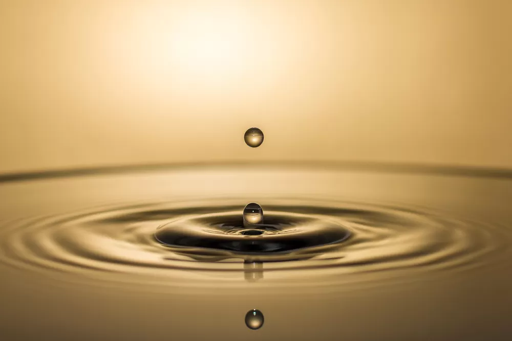 damla fotoğrafı çekim eğitimi