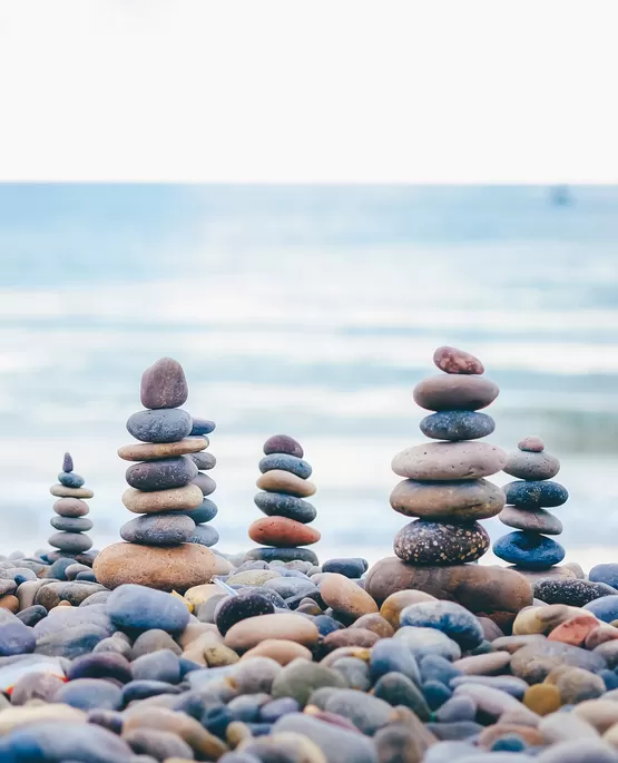 focus stacking fotoğrafçılık eğitimi