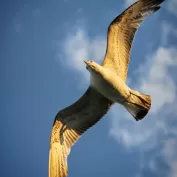 Fotografcilik Egitim Fotograflari