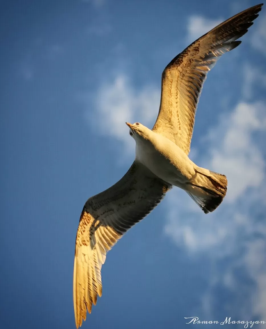 Fotografcilik Egitim Fotograflari