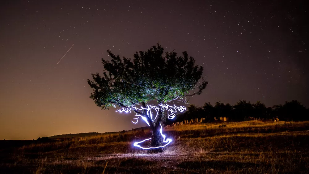 fotoğrafçılık workshop
