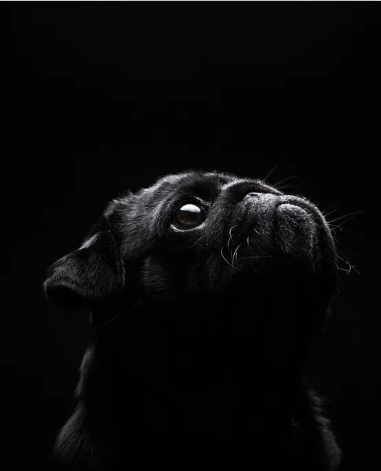 low key çekim kursu