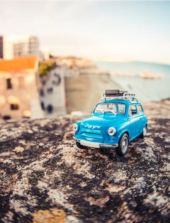 macro fotoğrafçılık eğitimi