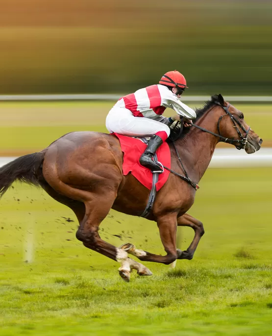 spor fotoğrafçılığı dersi