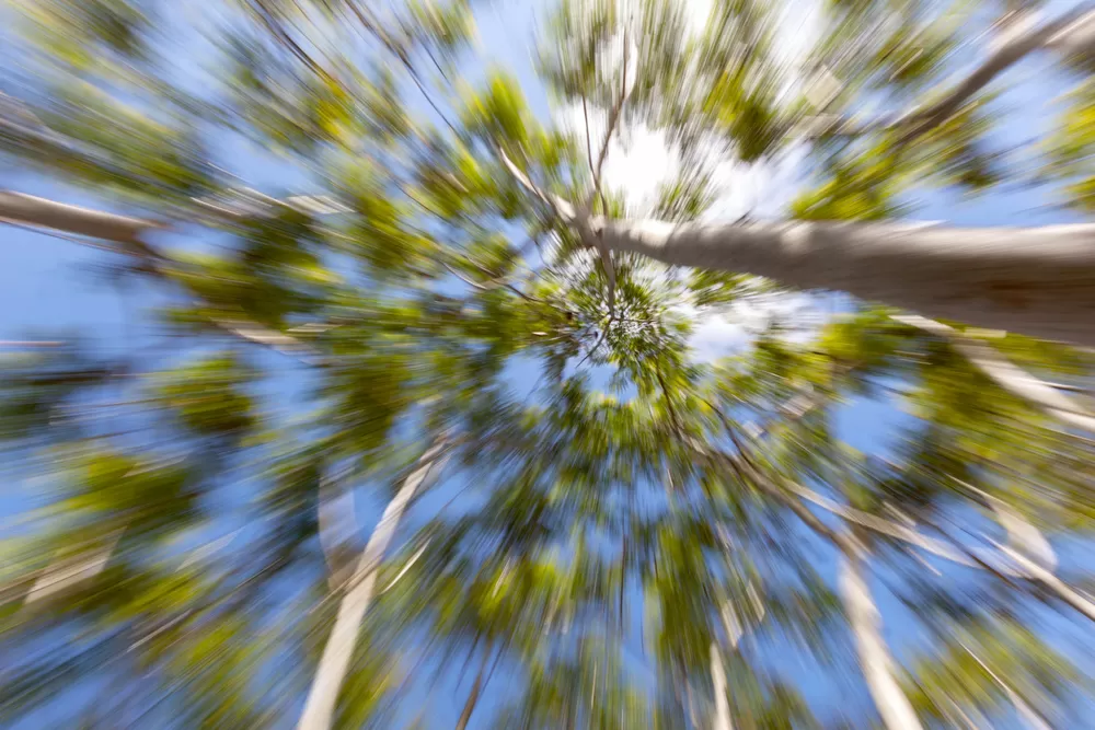 Zoom-In Zoom-Out fotoğrafçılık eğitimi