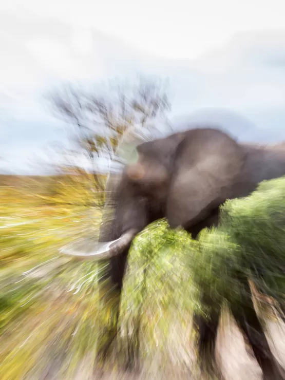 Zoom-In Zoom-Out fotoğrafçılık kursu