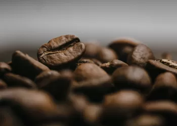 Fotoğrafçılıkta Diyafram Açıklığı Nedir?