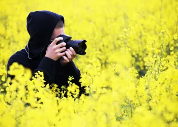Kır Çiçekleri Nasıl Fotoğraflanır?