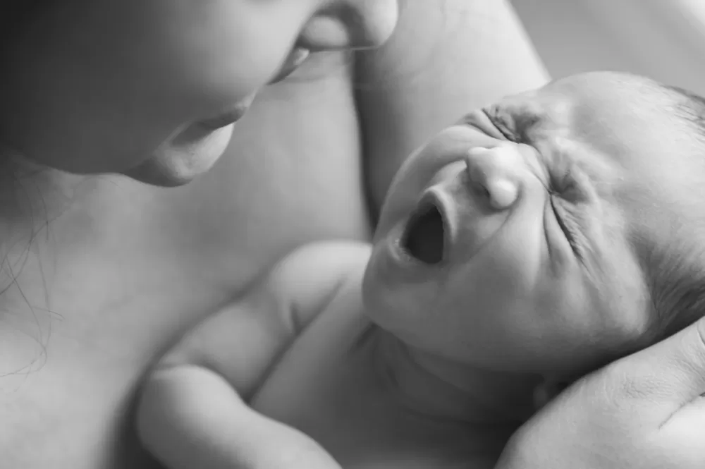 özel doğum fotoğrafçılığı eğitimi