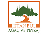Istanbul Agac Ve Peyza 1