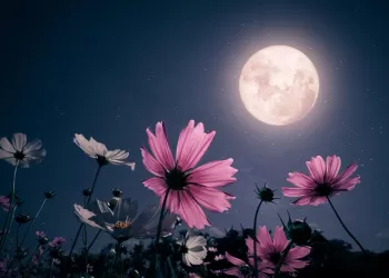 En Güzel Ay Fotoğrafı