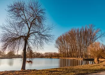 Manzara Resmi Nasıl Çekilir?