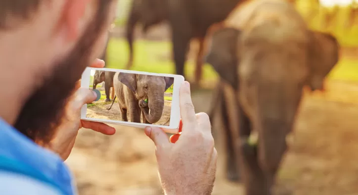 iPhone Fotoğraf Düzenleme Ayarları