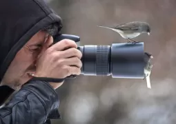 kuş fotoğrafı çekimi