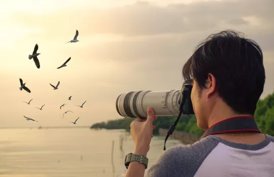 Kus Fotografi Cekimi Workshop