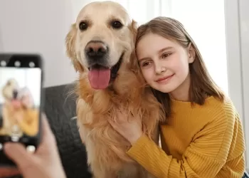 Samsung Cep Telefonu ile Kaliteli Fotoğraf Çekme