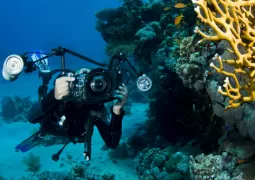 sualtı fotoğraf çekimi workshop