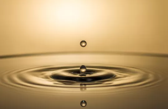 Yuksek Enstantane Cekim Workshop